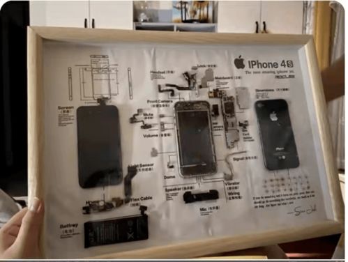 玩偶修复师、手机入殓师、猫粮品尝师 新兴职业月入上万的奥秘